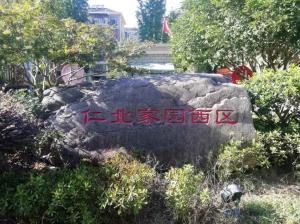 守護(hù)綠水青山！公司以“奔跑的姿態(tài)”加速推進(jìn)“污水零直排”建設(shè)任務(wù)